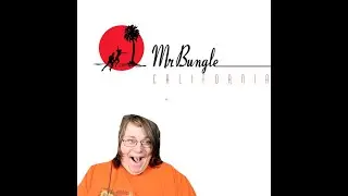 Hurm1t Mr Bungle Retrovertigo Reaction