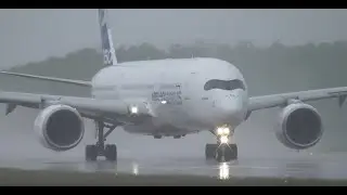 AMAZING take off | Heavy rain | Airbus A350-900 | Euroairport MLH-BSL