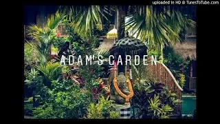 Chill Type Beat 2020 - Adam's Garden |The K.A.L.G| HipHop Rap/Lofi Instrumental