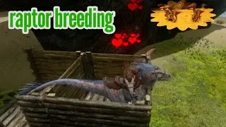 Raptor breeding || ark survival evolved mobile | No promotion