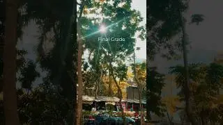 Color grading tutorial | Prequel App | framesbyhappy | #colorgrading #editingtutorial #prequelapp