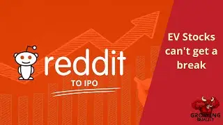 REDDIT TO IPO, WHAT YOU SHOULD KNOW: Portfolio Update