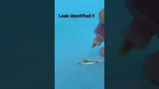 Swimming pool leak found with Dye Testing. Miami,Fl