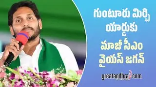 LIVE: YSRCP Chief YS Jagan Guntur Tour | Supports Mirchi Farmers Protest | greatandhra.com