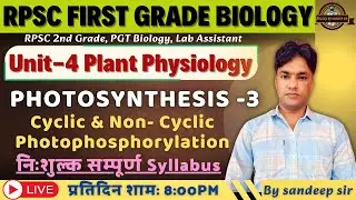 RPSC 1st Grade Biology 2025 | UNIT -IV | Plant Physiology | Photosynthesis | प्रकाश संश्लेषण - 3