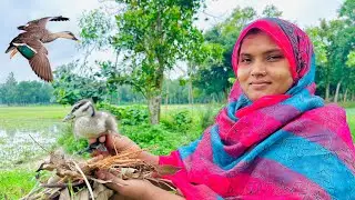ধানের জমিতে বালিহাঁস পেলাম - বুনোহাঁস | Bd life