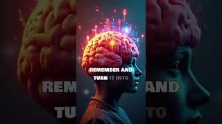 How to Remember Anything Instantly: The Memory Palace Technique Used by World Champion