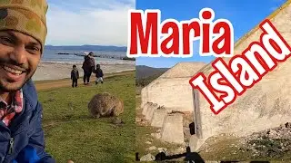Maria Island Tasmania. Best Place in Tas???