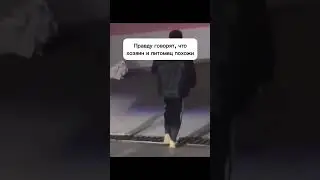 Весь в хозяина 😂