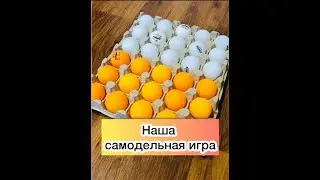 Самодельная игра, ну очень увлекательная. Homemade game, well, very exciting.