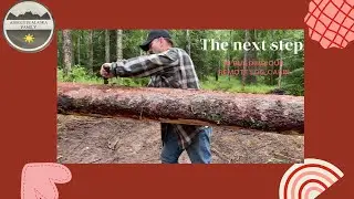 How do I remove bark from trees or logs?
