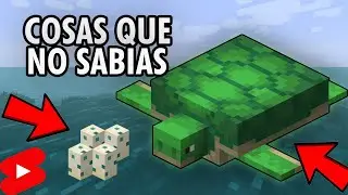 Cosas que no sab&iacute;as de la Tortuga - Minecraft