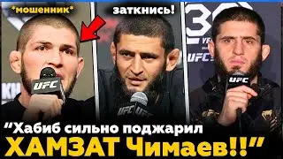 Хабиб подшутил над Хамзатом | Конор Макгрегор против Джека Пола | Новости MMA