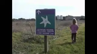 Finding Kelletia