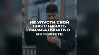 Z Fin24