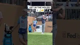 &ldquo;GET IN THE HOLE!&rdquo; 🤣⛳️ | Use This Golf Sound 🔊