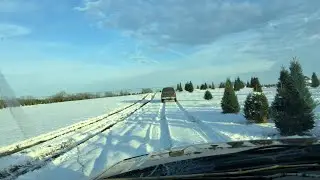 12/7/24 - Visiting Wahmhoff Tree Farm Near Gobles, Michigan!