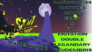 HATCHING 44 NATURES BOON EGGS & FULL MUTATION DOUBLE LEGANDARY CAUDEMBRIS!-Dragon Adventures-ROBLOX