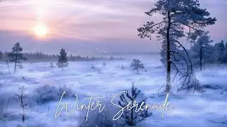 Piano & Sax: Winter Serenade &ndash; Relaxing Instrumental Music for Study, Sleep & Focus