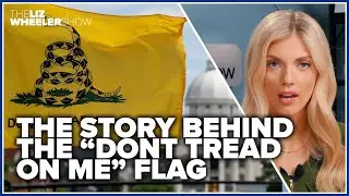 The story behind the &ldquo;DONT TREAD ON ME&rdquo; flag