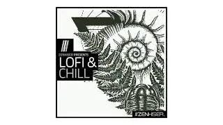 🌌 ZENHISER - Lofi and Chill - SAMPLES & DRUM KITS - DOWNLOAD LINK [FREE]