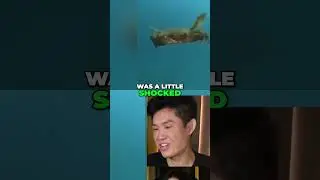 Crabs Can Fly 🦀✨ You Won't Believe It! #mxr #jeannie #henry #mxrplays #funny #crabs #crabs #crabsfly