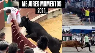 BEST MOMENTS WITH FIGHTING BULLS! #2025