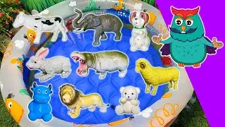 Animal Size Adventure! 🐭🐘 | From Tiny Mouse to Giant Elephant! | Educational Video for Toddlers