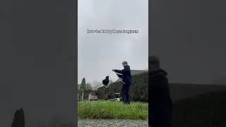 Wie er am Ende fliegt😭😭 #horse#hobbyhorseedit#viralvideo#hobbyhorsing#hobbyhorsecomunity#longieren