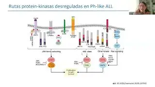 Bases genéticas y moleculares del cáncer infantil II