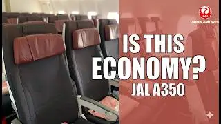 Japan Airlines A350-1000 Economy Review: New York (JFK) to Tokyo (HND)