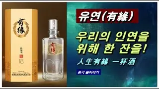 [유연(有緣)] - 우리의 인연을 위해 한 잔을!! 뱔효구덩이 향을 은은히 풍기는 사천 농향 백주. 국내 마니아들과도 천천히 인연을 맺어가고 있다. (중국 술이야기, 제137화)
