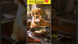 dog ai video making bread knitting #kitten #cat #cute #viralvideo ❤️😎