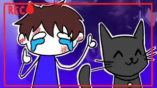 Being Roommates With A Cat