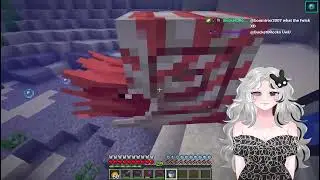 Minecraft Part Sixty-One (1/12/2026)