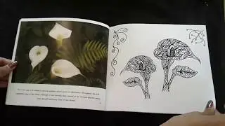 Keepsake Book  St Helena Island