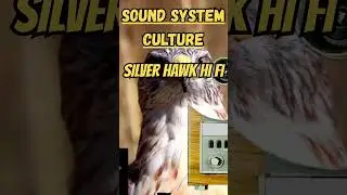 🎶  The Silver Hawk: A Deep Dive into the Future of Hi-Fi Audio