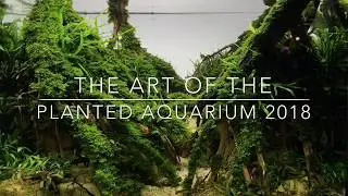 Aquascaping Contest &mdash; The Art of the Planted Aquarium 2018