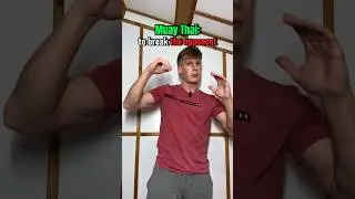 How different martial arts spar&hellip;