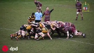 Hinckley RFC 1stXV V Newport Salop RFC 03/02/24 Highlights