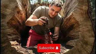 This Huge Tree Log Was Empty Inside&hellip; So I Built a Luxury Shelter Hidden in Plain Sight