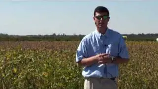 Yield Response of Soybean Maturity Groups Across Three  Planting Dates  - 2008 Research Summaries