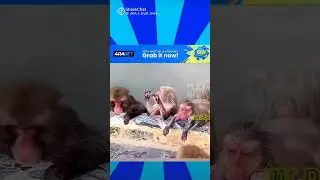 contimed