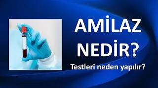 AMİLAZ TESTLERİ NEDEN YAPILIR?