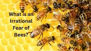 What is an Intense and Irrational Fear of Bees? #fear #bees #fearofbees #amazingfacts #Apiphobia