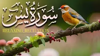 Suarh Yaseen | Beautiful Yaseen Shareef | By Razaul Qadri | Full With Arabic | Ep 136