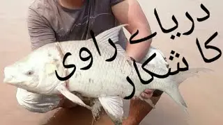 Fishing at River Ravi (HD).fishing in Pakistan by Super Sports kahna nau Lahore