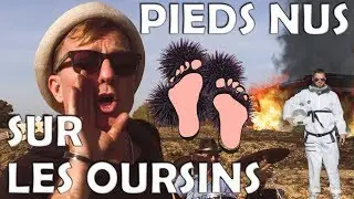 MAFIA FADA Pieds nus sur les oursins (CLIP OFFICIEL) (Groupe Aixois )