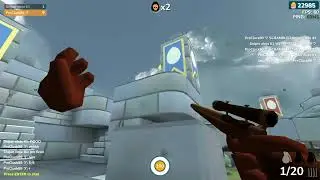 1v1 with Sniper Ninja |Shell Shockers