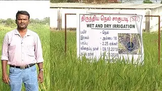நல்ல மகசூல் & லாபம் பெற உதவும் Wet and Dry Irrigation முறை | Malarum Bhoomi